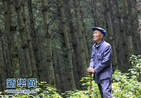 <em>杨善洲女儿</em>深情忆慈父:爸爸是我心中的一棵大